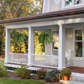 ZooFernzoom weather-resistant greenery stays vibrant without watering.