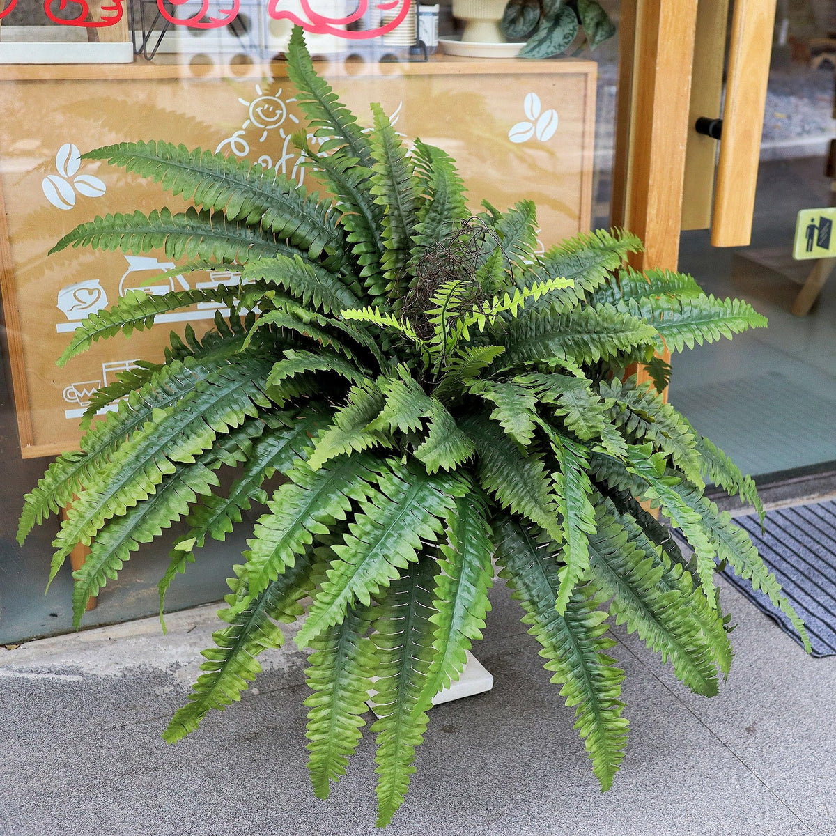 ZooFernzoom artificial Boston fern large for indoor decor with natural look.