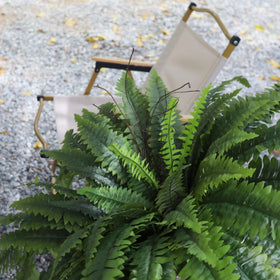 ZooFernzoom faux greenery fern for porch brings vibrant colour to entrances.
