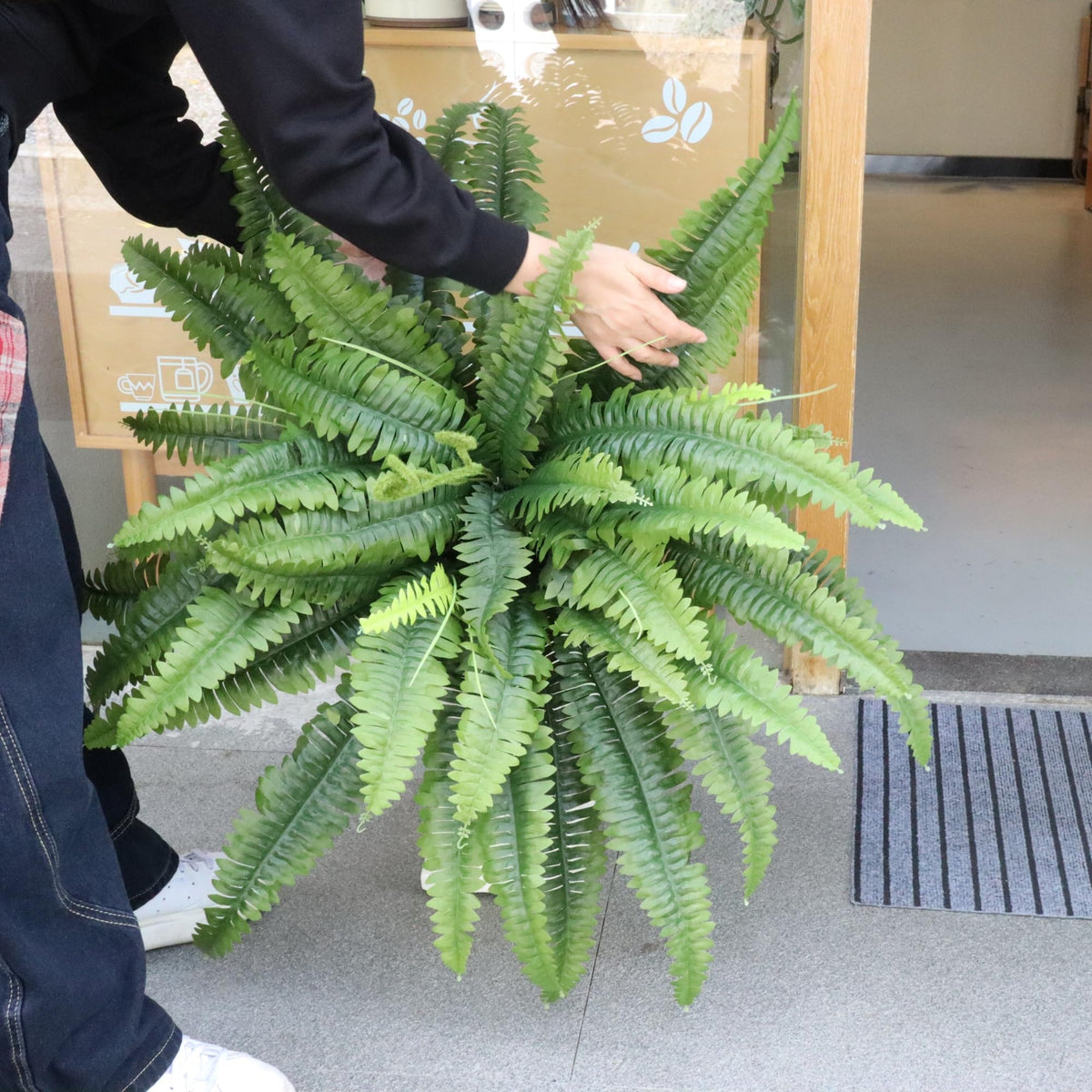 zooFernzoom tender shoots detail with realistic fern accents