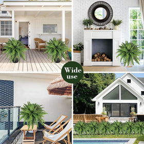 zooFernzoom office decor adds lush ambiance to workspace