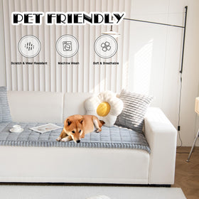 ZQFFB dog on cover illustrating sofa protection during playful paws
