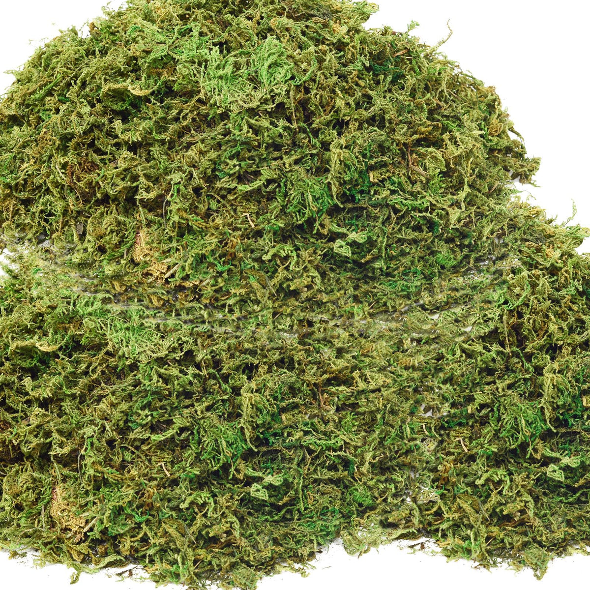 ZYAPA fake moss 19oz base: lifelike greenery for durable planter accents.