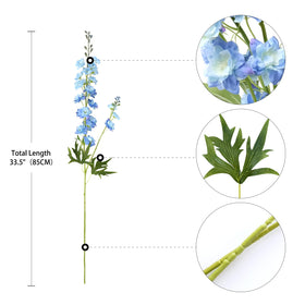 ZYTUYO easy-care larkspur flowers add fullness without maintenance.