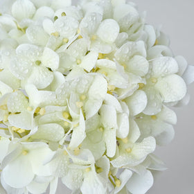 ZYTUYO hydrangea for DIY decor like wreaths and garlands