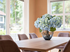 ZYTUYO detailed view of hydrangea leaves for lush greenery
