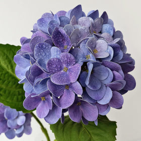 ZYTYUO realistic latex hydrangea petals add life to décor